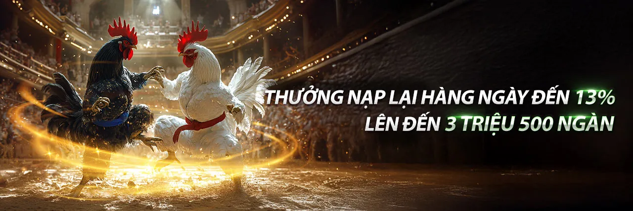 Đá Gà Trực Tuyến Hấp Dẫn tại n666